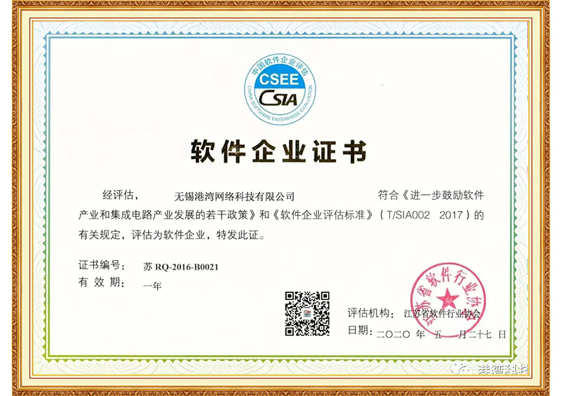 软件企业2020